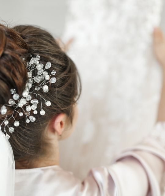 bride-dressing-up bride-dressing-up